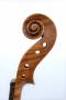 VN0439-SCROLL-4-WEB (2)